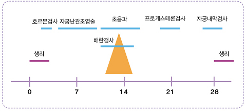 기본검사방법 그래프