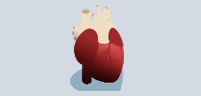 심부정맥의 이상