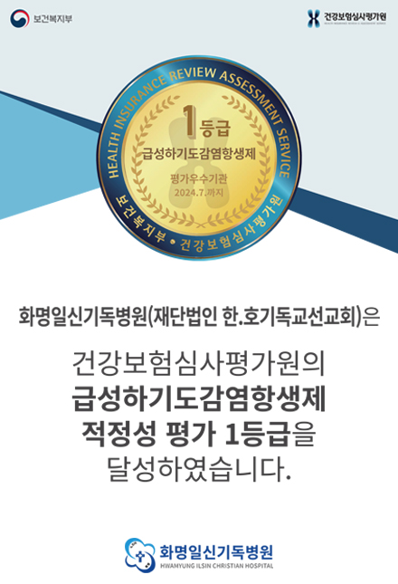 1등급